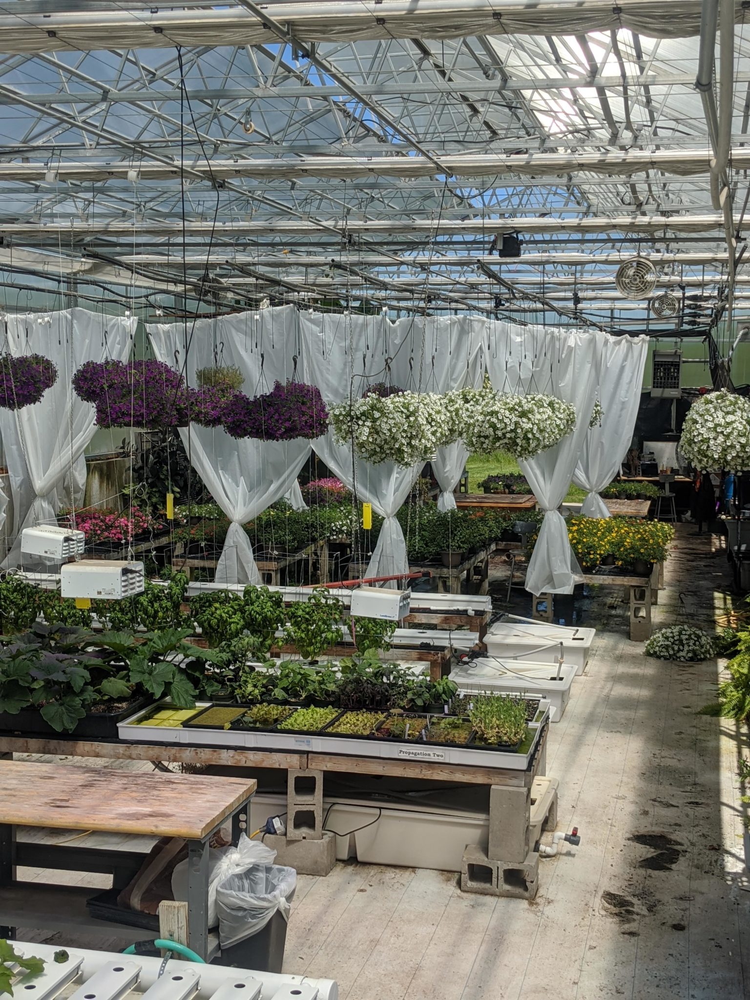 Greenhouse Program TLC Rolling Ridge